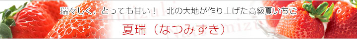 なつみずき看板