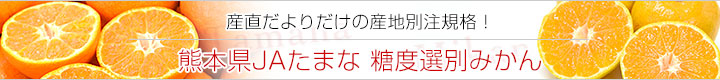 たまな 糖度選別みかん