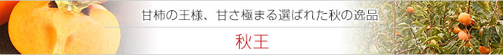 秋王看板