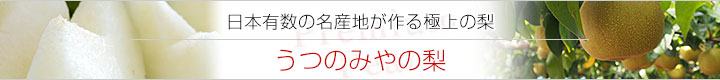 うつのみや梨冠