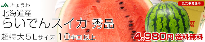 炢łXCJGi