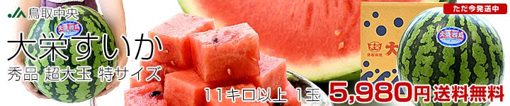 hXCJ1