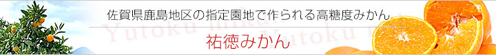 祐徳みかん