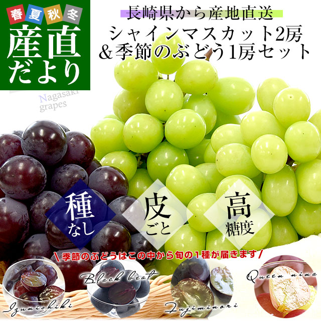 長崎ぶどう2種3房