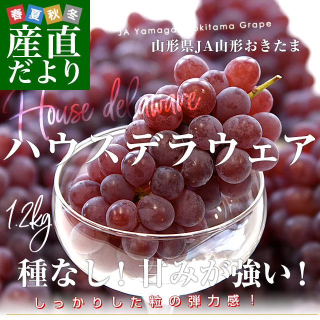 R`fEFA1.2kg