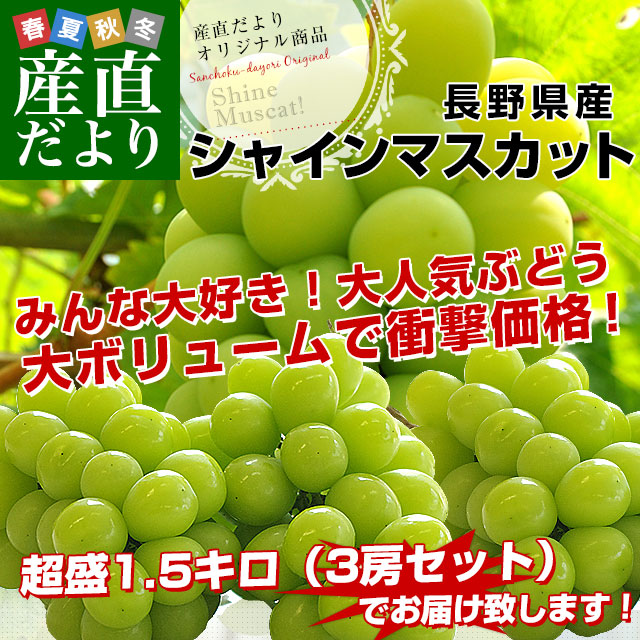 長野シャイン3房