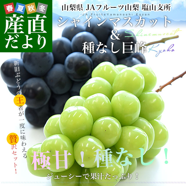 山梨シャイン巨峰セット