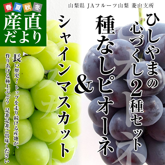 菱山シャインピオーネ心づくし