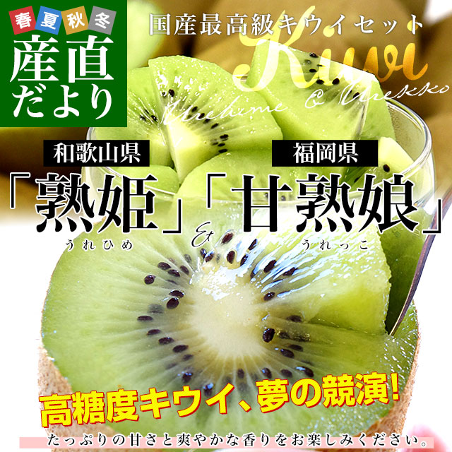 �n�P�Ïn���Z�b�g