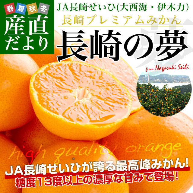 長崎の夢2.5キロ