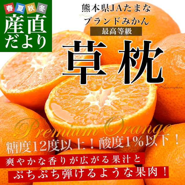 草枕4キロ