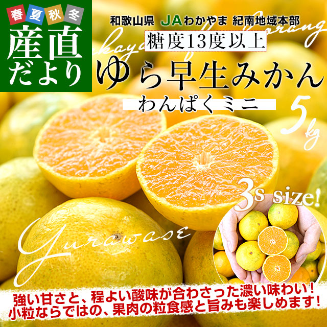 �������u��瑁���v