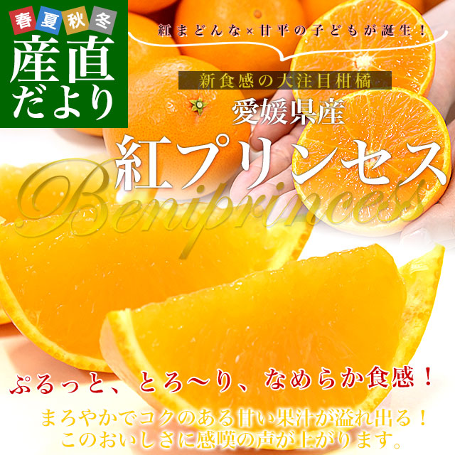 �g�v�����Z�X2.5kg