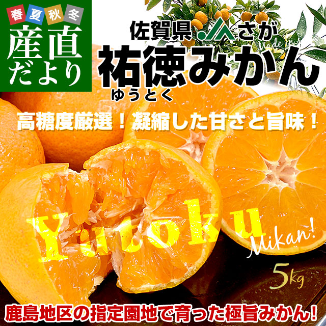 �S��L����SS�T�C�Y ��5�L�����ϔ�