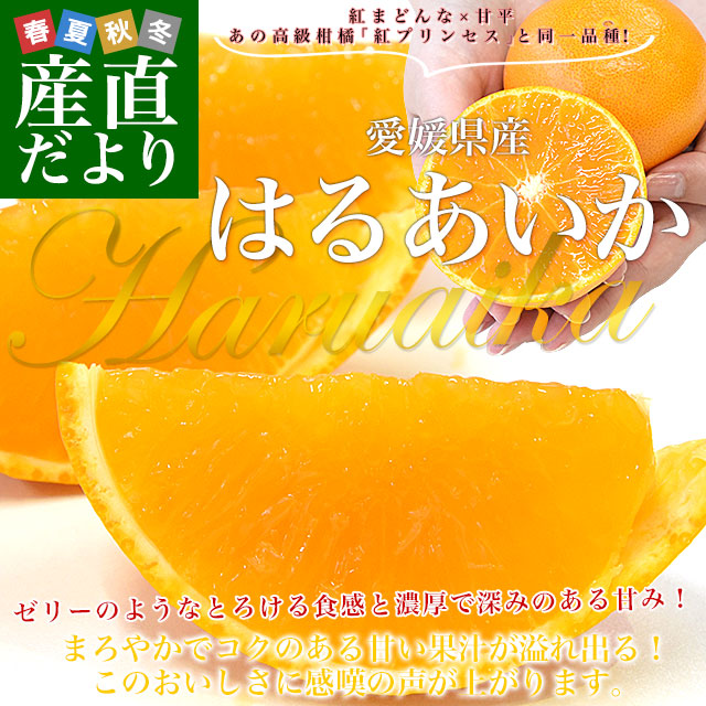 �͂邠����2.5kg