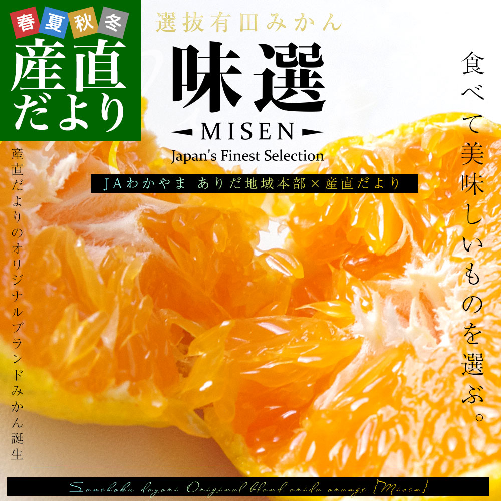 �L�c�݂���u���I-MISEN-�v