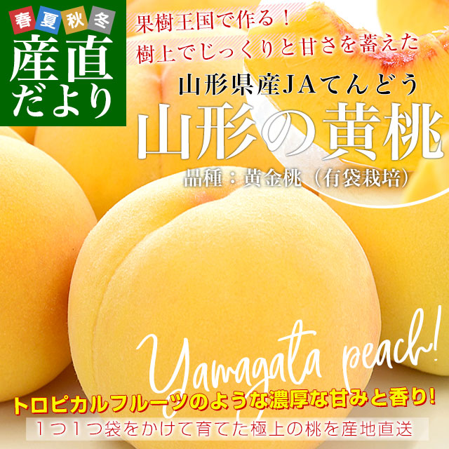 てんどう黄金桃 有袋3kg