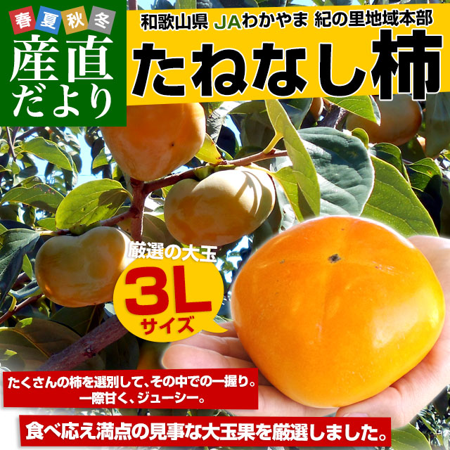 ���˂Ȃ��` ���3L�T�C�Y