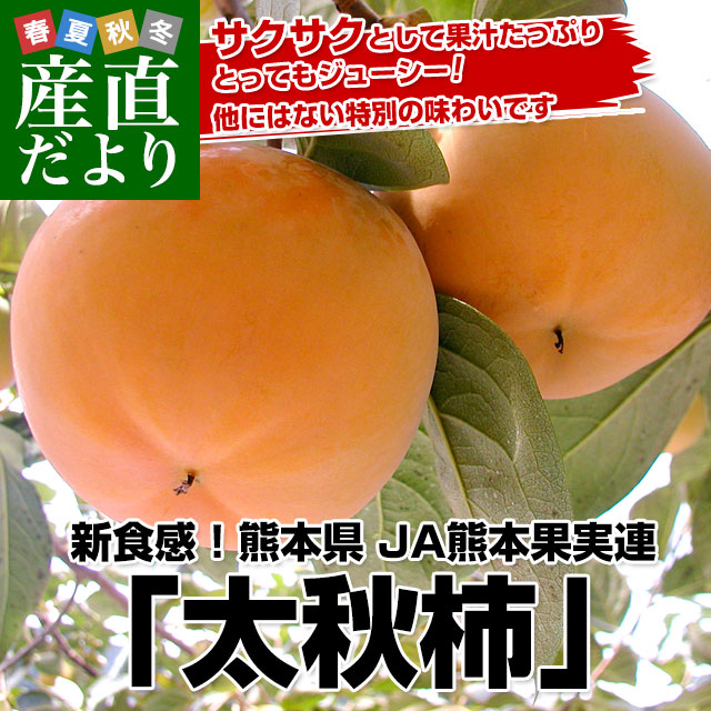 熊本果実連 太秋柿3.5キロ