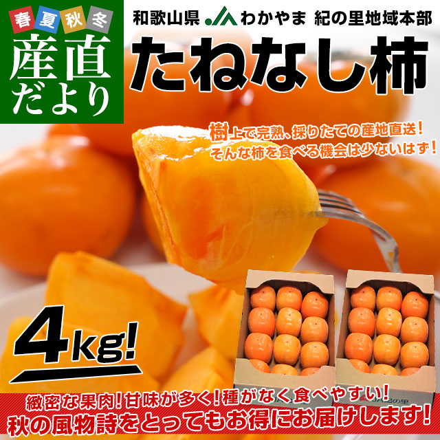 ���˂Ȃ��`���v4�L��