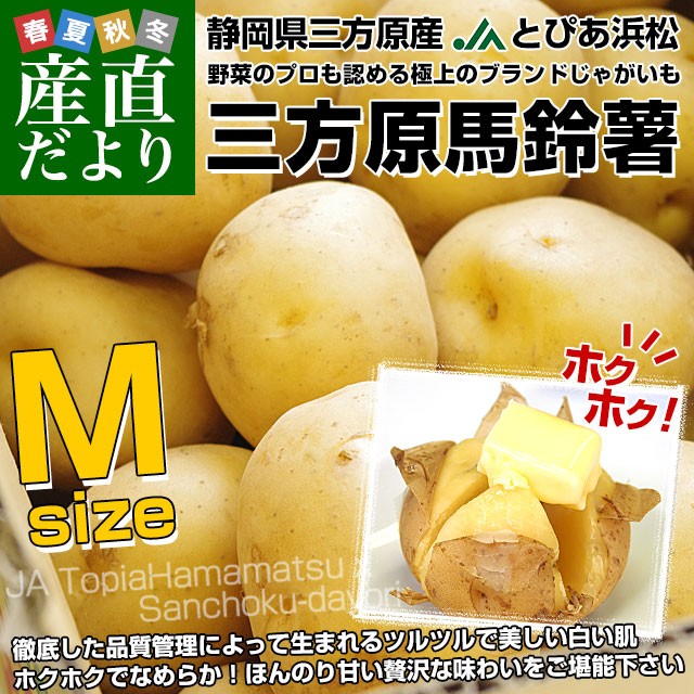 三方原馬鈴薯M