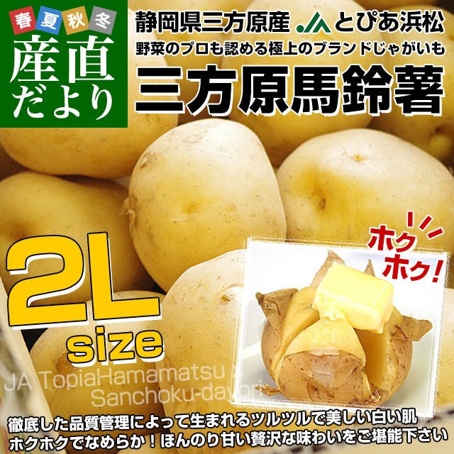 On鏒 2L 5L