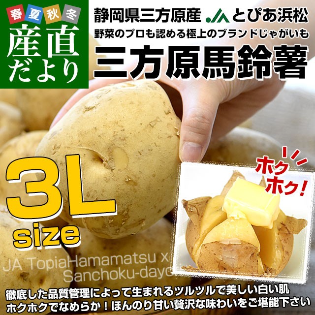 On鏒3LTCY 5L