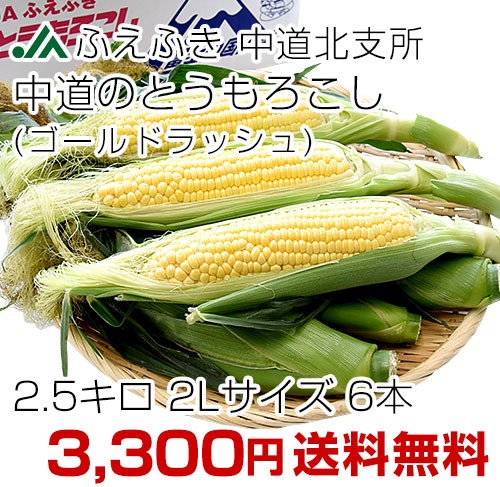 Ƃ낱2.5kg