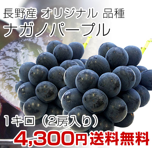 ナガノパープル