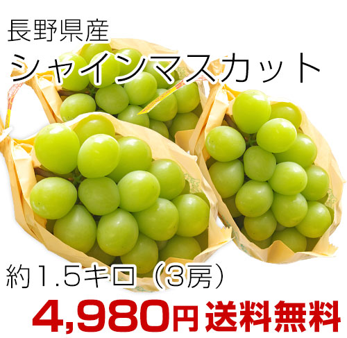 シャイン3房