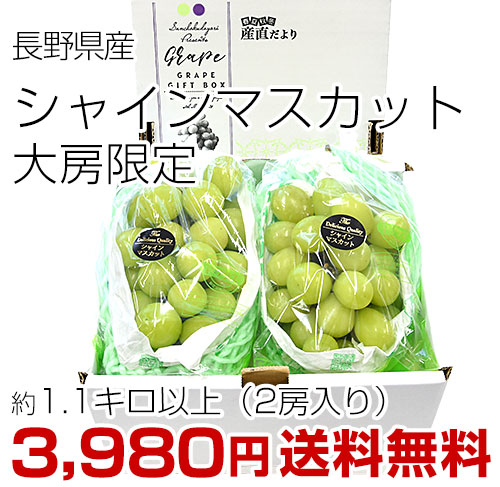 ご家庭向けシャイン