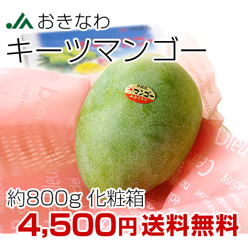 オキナワ　キーツマンゴー