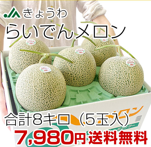 らいでんメロン5玉