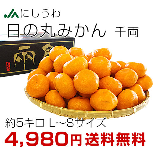 日の丸みかんLS5キロ