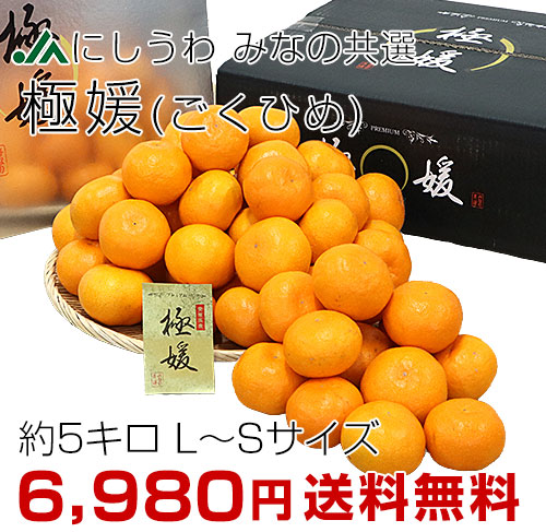 極媛ごくひめ5キロ