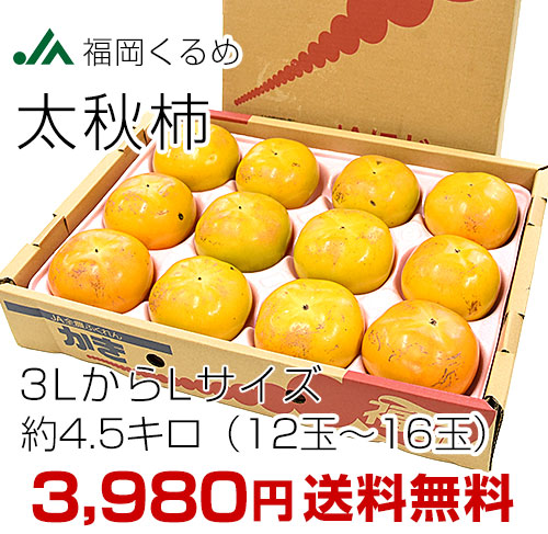 太秋柿ご家庭用