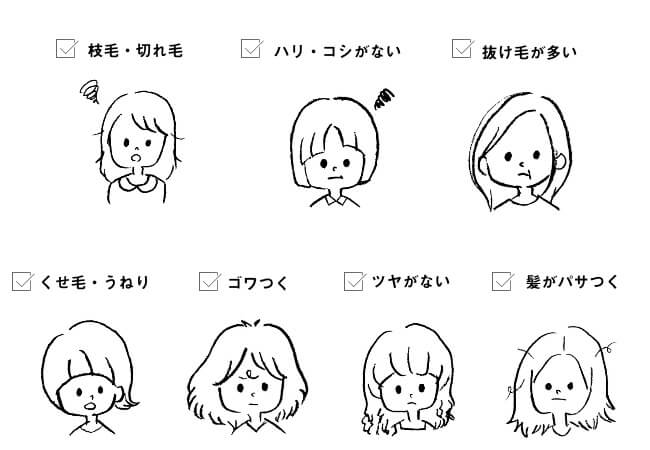 髪とプロテインのお話