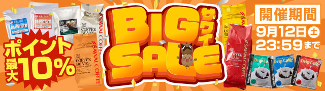 BIGサワイセール