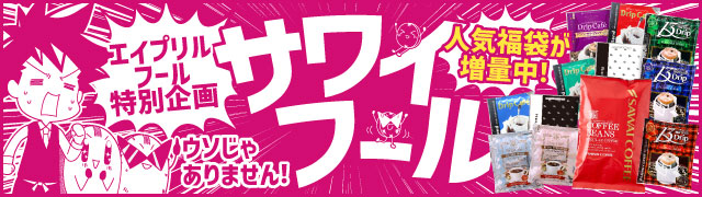 �T���C�t�[��