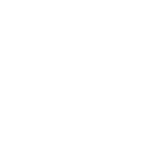 birkenstock logo