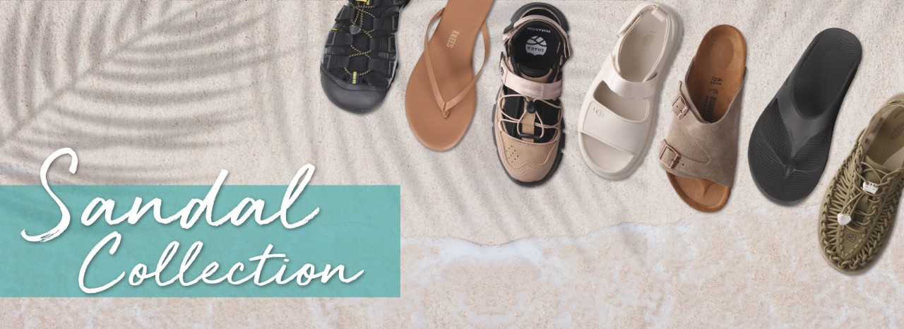 2023 BAG  COLLECTION �o�b�O���W