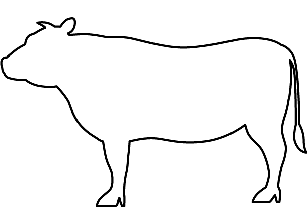 ���v