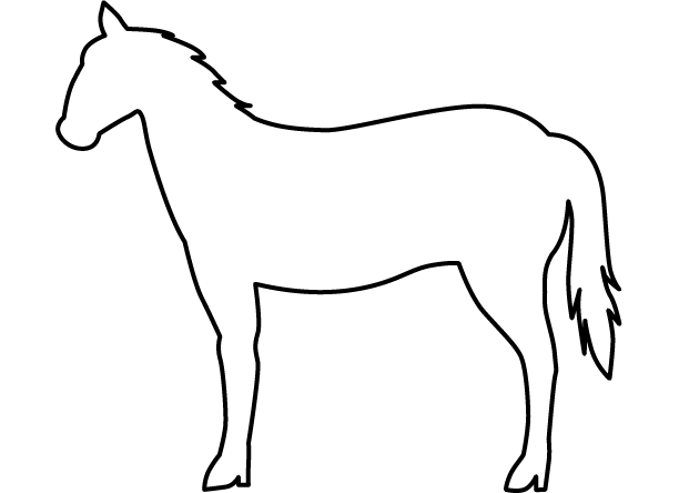 �n�v
