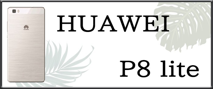 HUAWEI V[Y