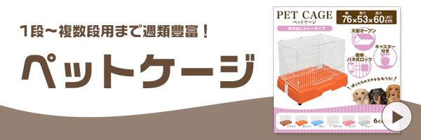 Dog Banner