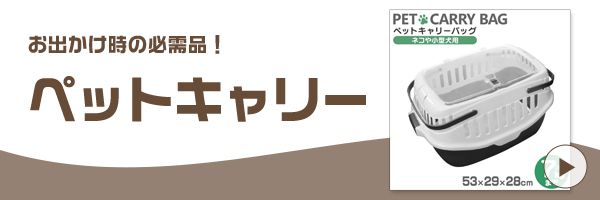 Cat Banner