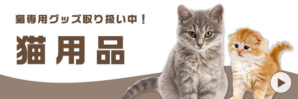 Cat Banner