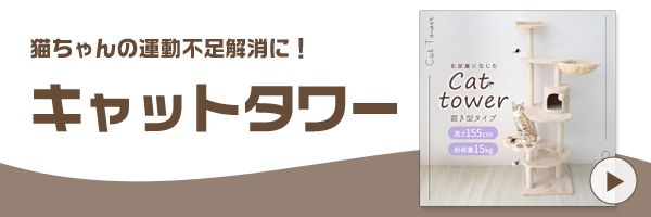 Cat Banner