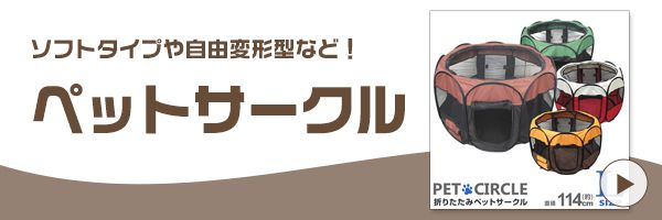 Cat Banner
