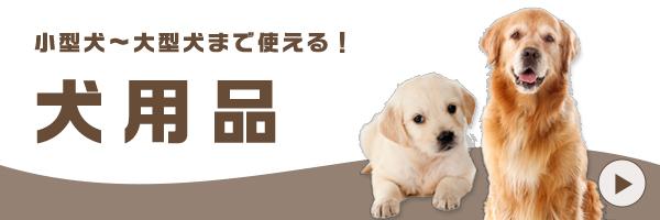 Cat Banner